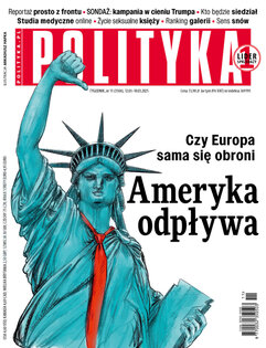 Polityka nr 11/2025